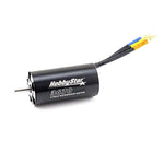 HobbyStar 3670 4-Pole Waterproof Brushless Sensorless Motor for Boats