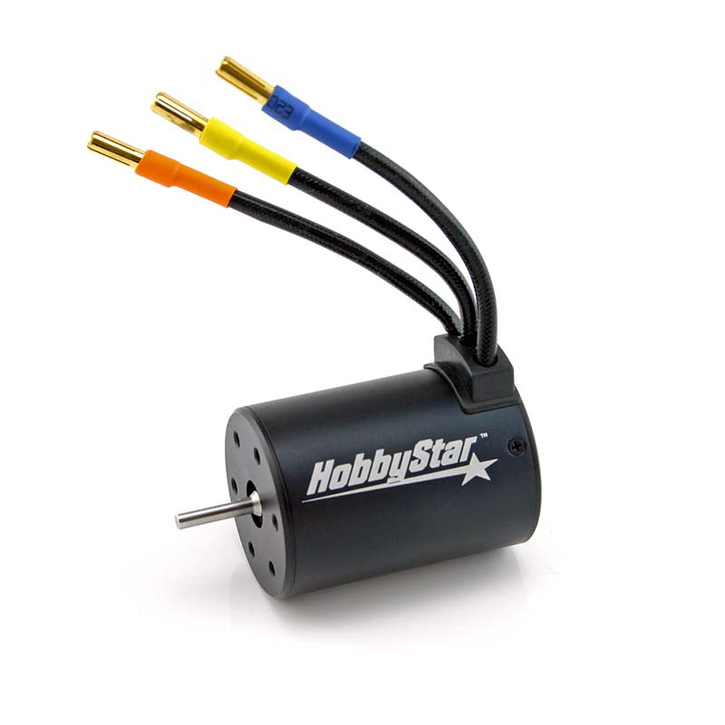 HobbyStar 3650 4-Pole Waterproof Brushless Sensorless Motor